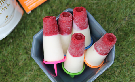 Raspberry chia milk popsicles